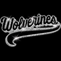 GLT78 SILVER  GLITTER Thumbnail