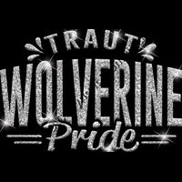 GLT62 SILVER GLITTER Thumbnail