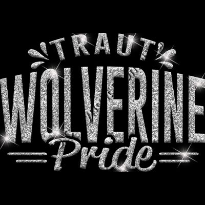 GLT62 SILVER GLITTER Thumbnail